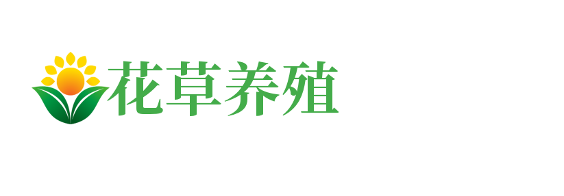 太原市晋源区宣宣经销部